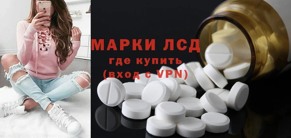 трава Магас
