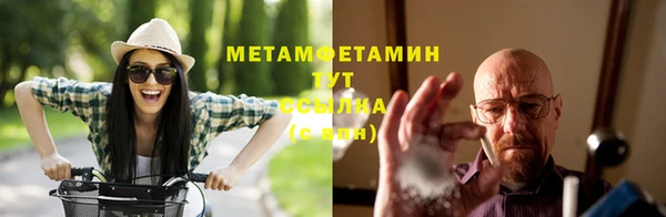 трава Магас