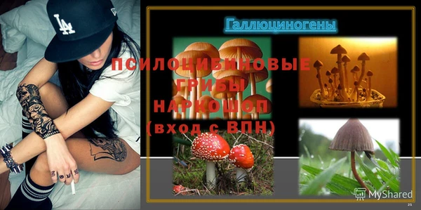 трава Магас