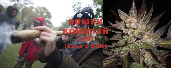 трава Магас