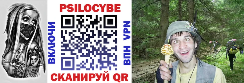 Псилоцибиновые грибы Magic Shrooms  купить  цена  Вологда 