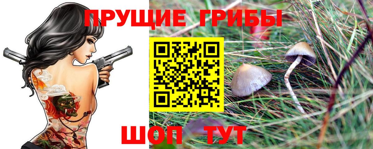 ЭКСТАЗИ  Каннабис  Мефедрон   ГАШ  Вход с VPN  Вологда  Cocaine  Гашиш 