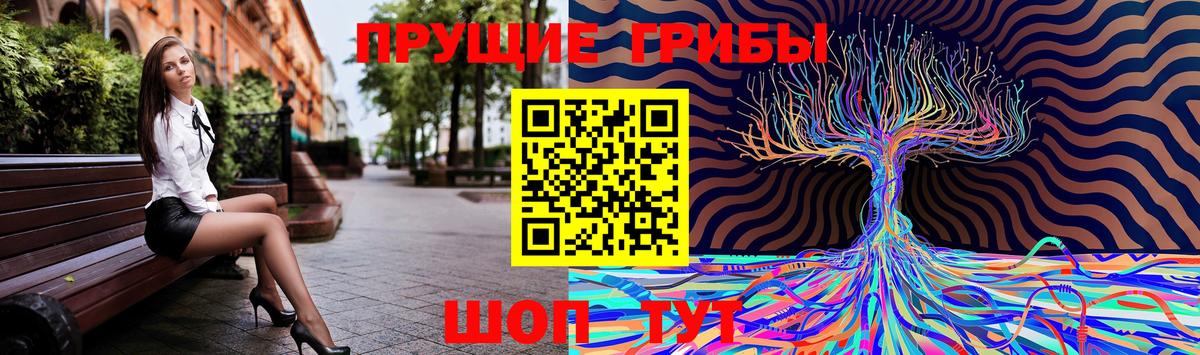 Псилоцибиновые грибы мицелий  Вход с VPN  Вологда  Галлюциногенные грибы GOLDEN TEACHER 