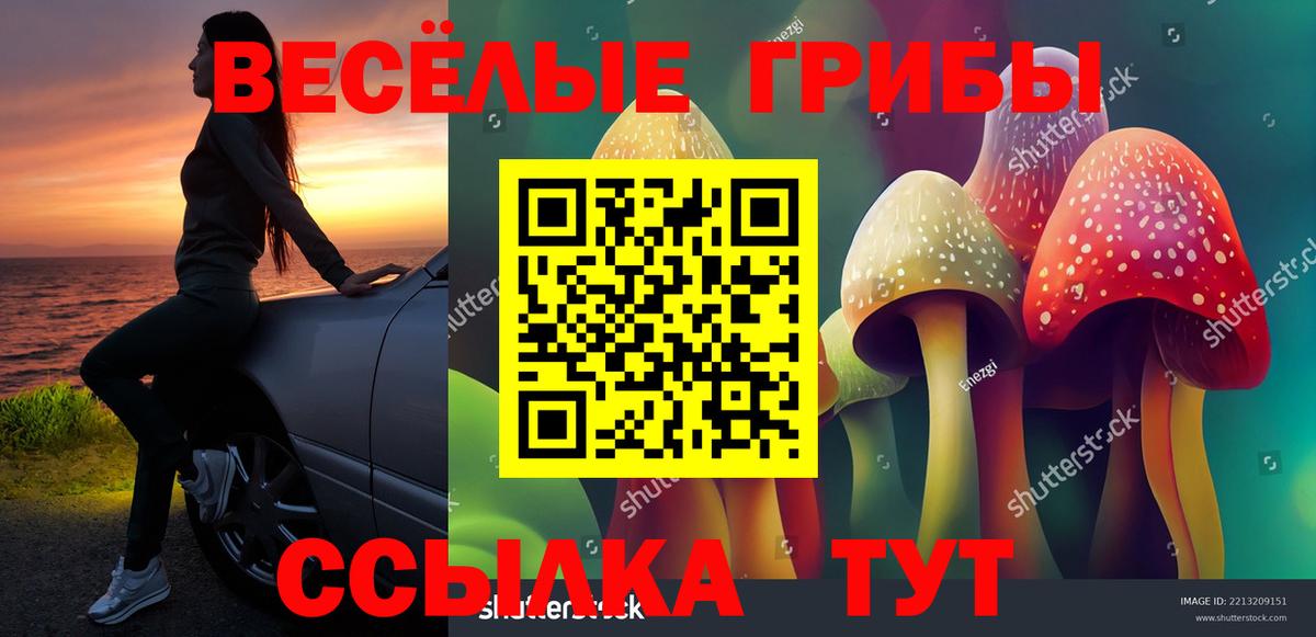 Галлюциногенные грибы GOLDEN TEACHER Вологда